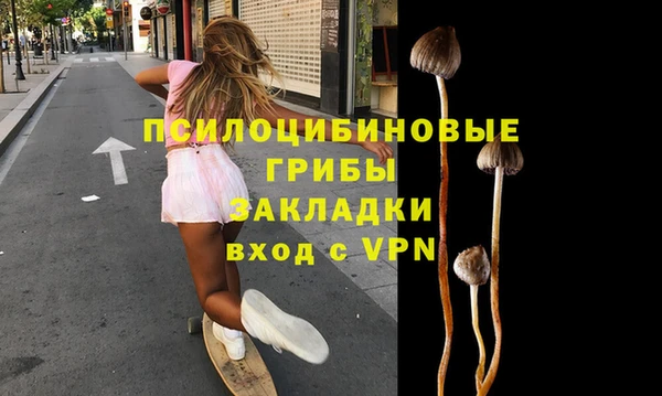 а пвп мука Бородино