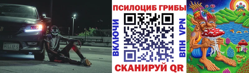 Галлюциногенные грибы ЛСД  купить  цена  Шатура 